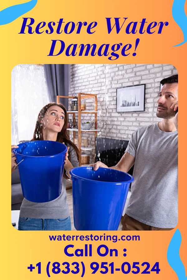 water restoration Solid Sewage Cleanup Solutions Charlestown