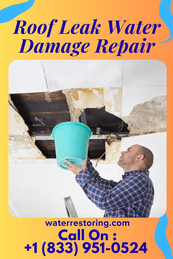 Roof Leak Water Damage Repair in Charlestown, IN